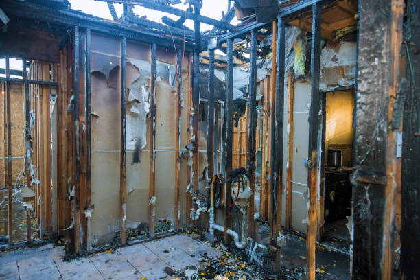 Professional Structural Rebuild technician working in Huntingdon, TN